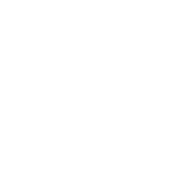 Le Miami